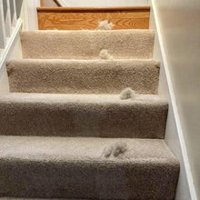 Restored fabric after FuzzBGone™ Pro treatment showing like-new results