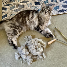 FuzzBGone™ Pro removing pet hair from upholstery