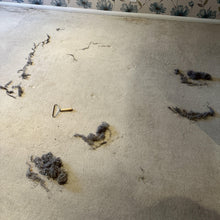 FuzzBGone™ Pro cleaning pet hair from a couch cushion